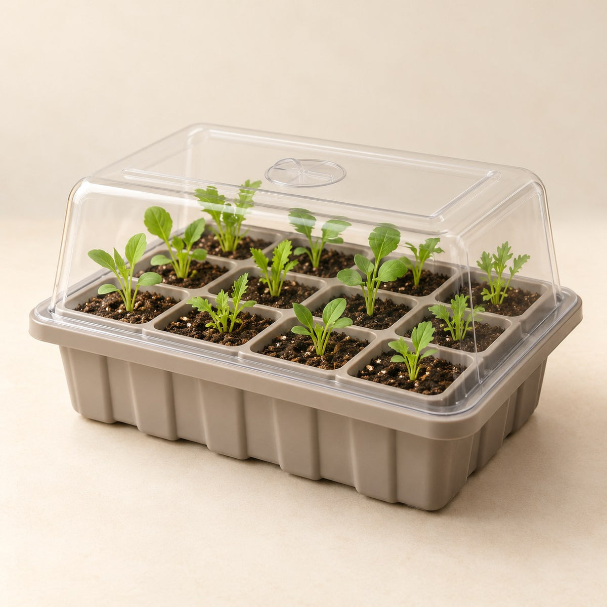 Seed Starting Tray Set — Product view